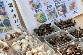 山西多地现野生蘑菇中毒图片