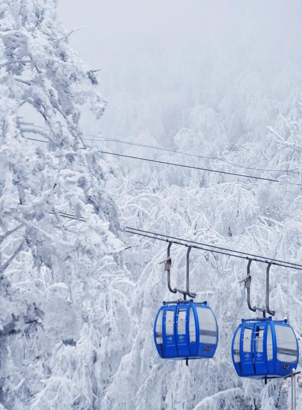 在雅安！！这么美的雪景我当然狠狠宣传啊啊啊！！