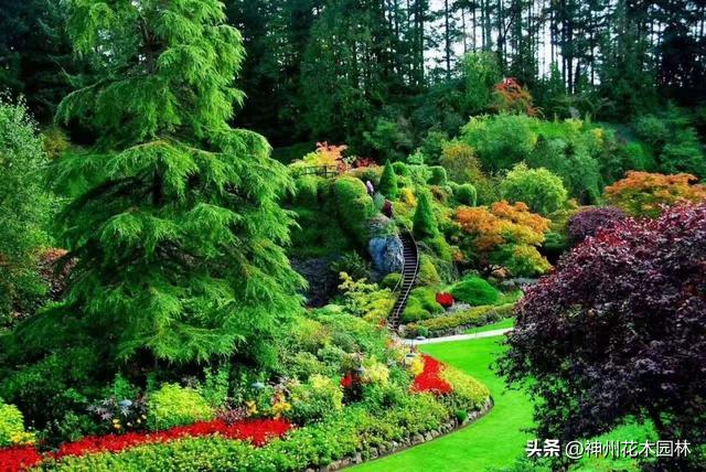 从矿坑废墟到园艺传奇：布查特花园华丽蝶变的百年传奇
