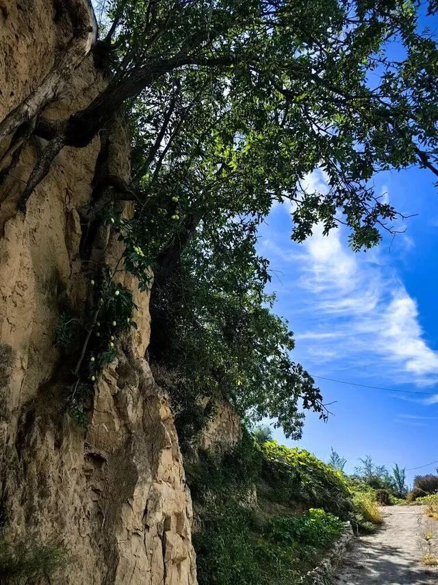 山西吕梁·临县尧昌里村