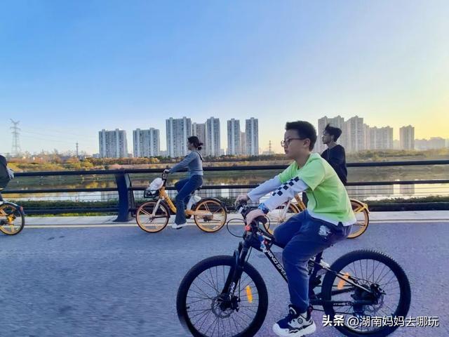不用去南京，长沙也藏着 “梧桐秘境”！遛娃拍照美到窒息！