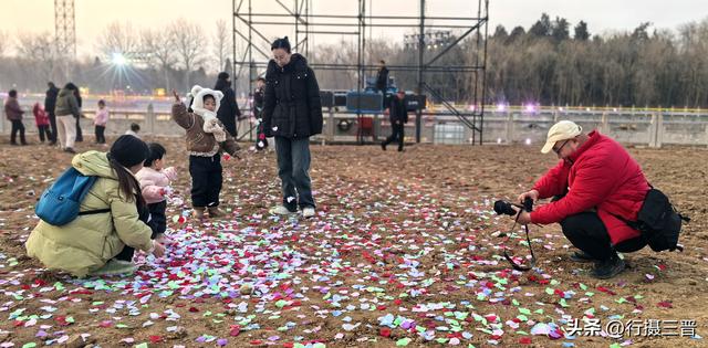 舜帝花海——邂逅一场别具一格的视觉盛宴