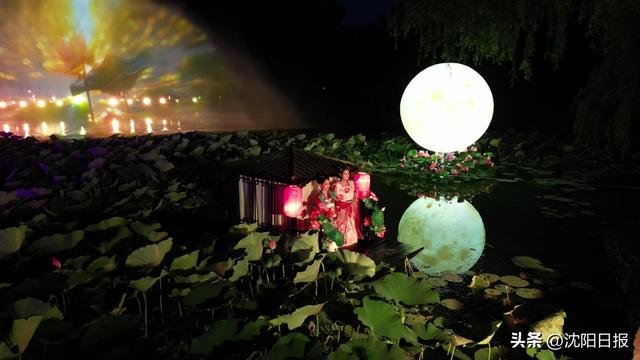 清凉驿站、科技月亮、非遗市集~北陵公园“上新” “荷”你共度夏夜