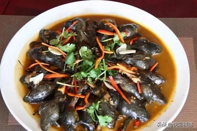 这三座新开高铁城市的打卡攻略来啦！