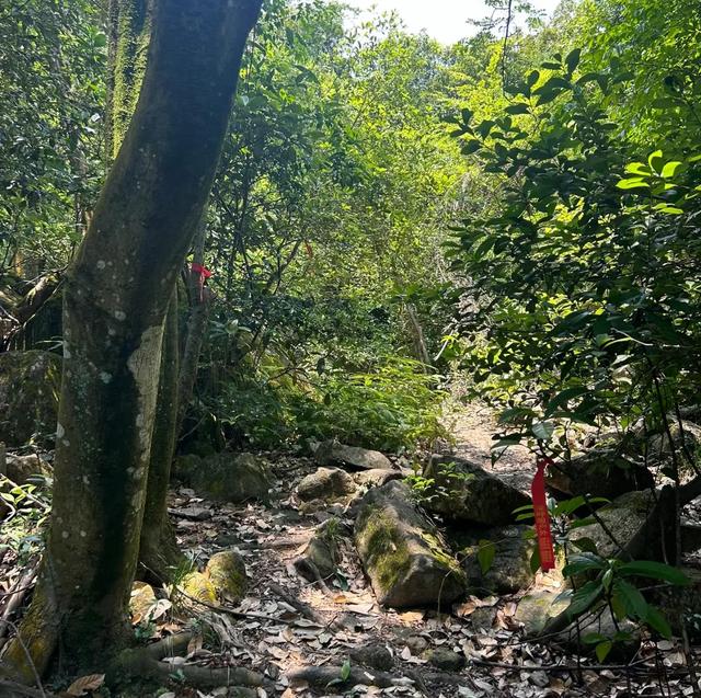跑了趟马尔代夫回来发现：旅行带上这些，真的会很爽！