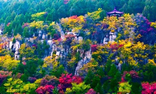 【醉美青檀秋色正当时】水彩画卷徐徐展开，只等您来！