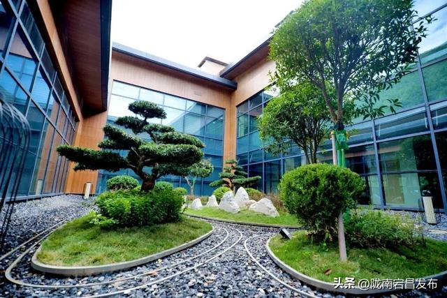 避暑胜地·康养宕昌｜宕昌民宿：诗意与康养交织的旅居之所