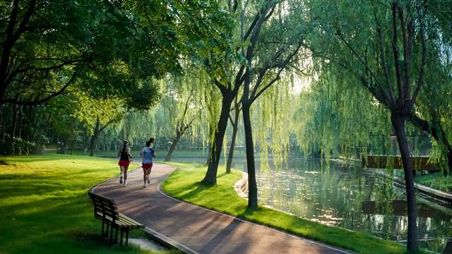 王俊凯绝对没想到：他和夫人竟然在河北承德避暑山庄“大开眼界”