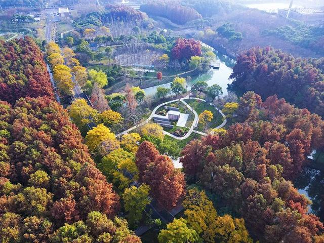 横沔公园成新晋网红打卡点，浦东5座新公园新年齐亮相