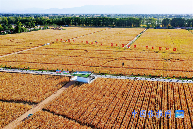 张掖：幸福城 幸福事