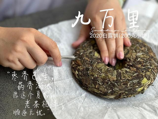 如何辨别老白茶的好坏？4个小技巧，学会了你也能成为高手