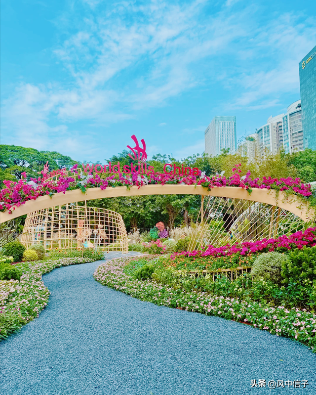 这个周末不如带娃去逛逛这里的花花