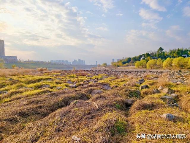公交直达冬日限定“小东非”，带娃解锁长沙safari隐藏玩法！