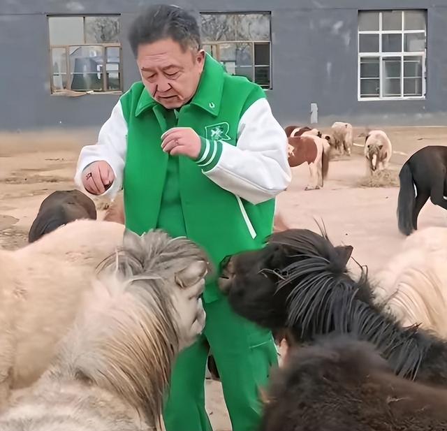 于谦持股公司被恢复执行 111 万，名人关联企业债务风险引关注