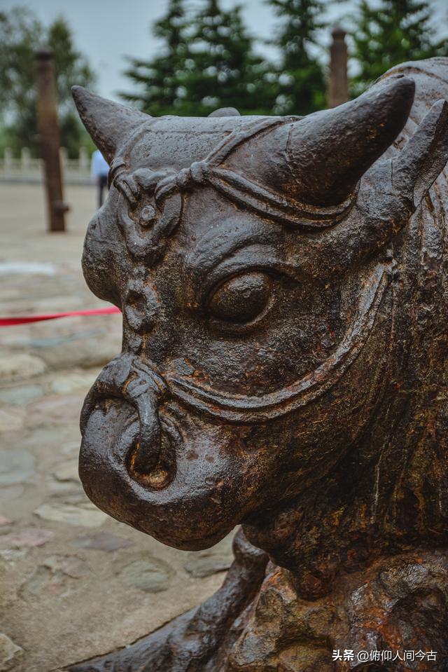 这四尊铁牛，藏着被封印的盛唐与硬核的浪漫