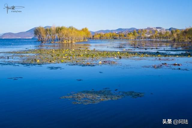 隐藏在洱海边的野营地很多,下关浅滩的土坝就挺有意思,游客罕至