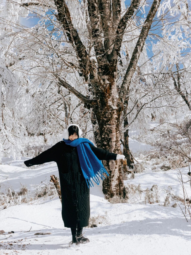 【雪景预告】看雪不必出远门！雅安的冬天超超超美！