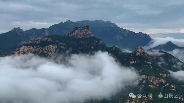 我想离开浪浪山，去看看泰山的四季轮转！