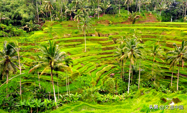 云端阆苑仙境，全球三大绝美梯田景观，个个世界文化遗产