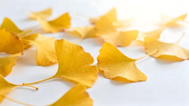 漱玉泉边	，词香千年