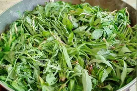 这菜全身是宝，却因名字被人“嫌弃”，比荠菜还营养，蒸包子真香图片