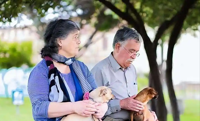医生发现：那些常年养宠物的老人，到56岁以后，大多变成了这样