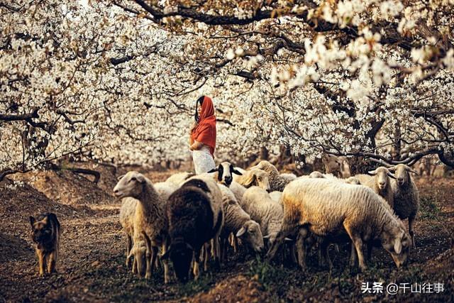 滕州陶山范蠡湖：一汪湖水，藏着中国人最向往的千年归隐传奇