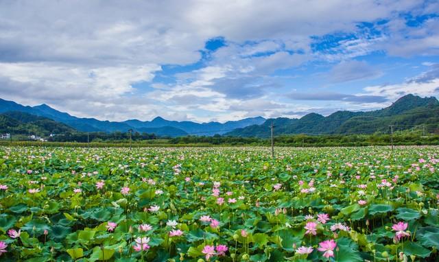 突然发现，凡是不靠吃药走出抑郁、焦虑的人，都有一个共性