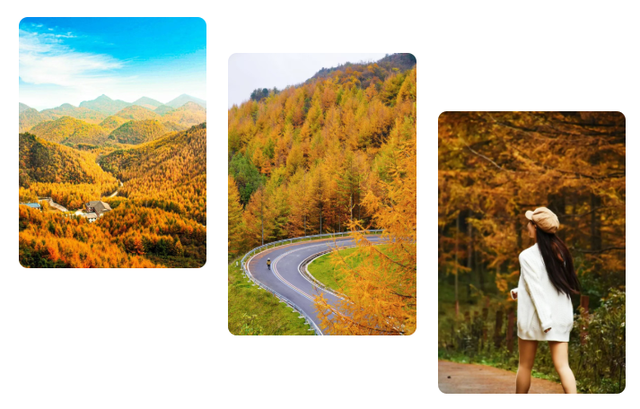 广元不远 周末优选 | 秋色短暂，曾家山赏秋路线来啦！