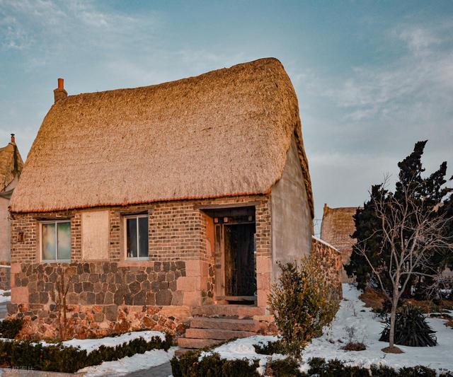 山东这座“天鹅村”美到窒息！百年海草房藏着胶东最暖的冬日童话