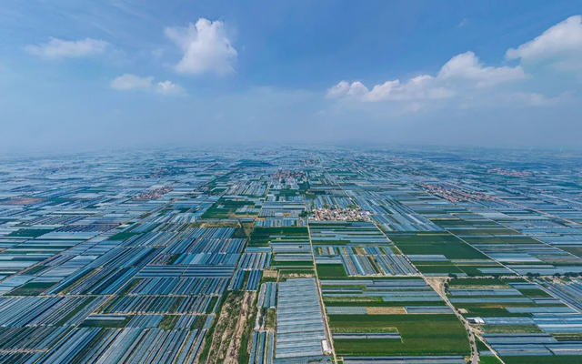 谁说在陕西旅游吃不到水果？这个击败南方的水果大省有多低调？