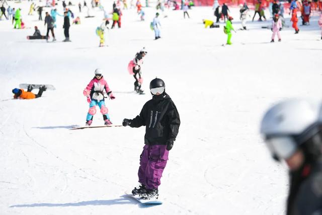 19.39万人次!临安火火火!