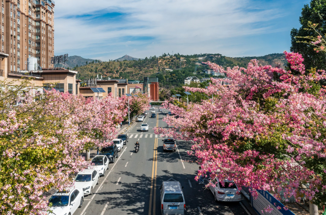 四川省仁和区历史沿革及行政区划