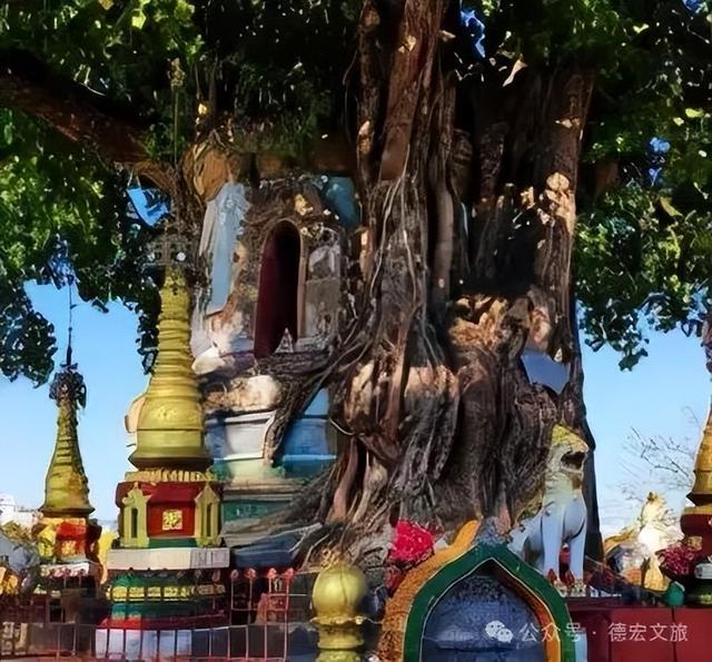 国庆中秋游德宏 | 来芒市，开启一场充满惊喜的探秘之旅！