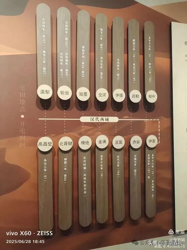 探秘丝路明珠,邂逅巴楚千年文明——走进新疆巴楚博物馆|申艳娟