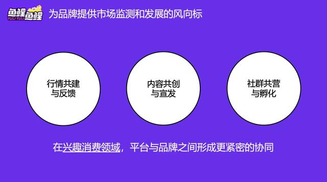 新生代兴趣爱好者有更高频的交易行为