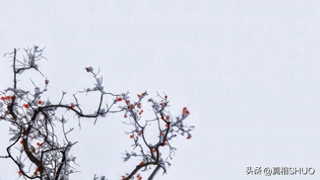 男人若是爱上了一个中年女人，他的反应	，其实会是这样的，很真实