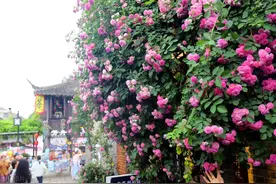 商务印书馆版《现代汉语词典》（第6版）首选词集锦图片