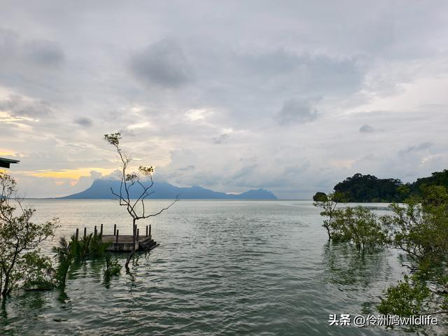 马来西亚(35)砂拉越州⑨峇哥国家公园徒步线路