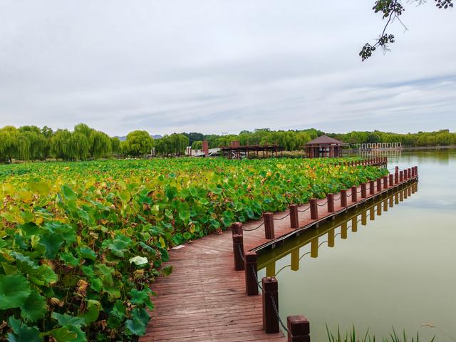 石家庄植物园的初秋