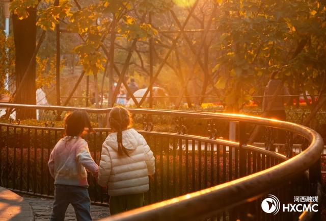 秋洒落的地方 藏着温柔与力量