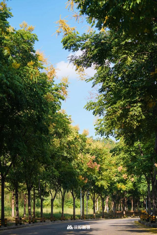 汉阳，变色……了