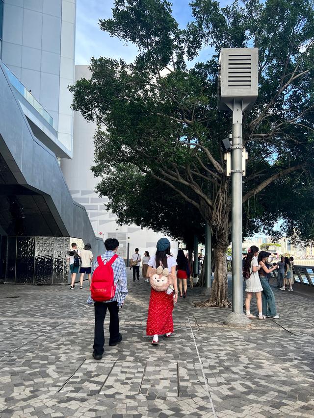 尖沙咀天星码头及星光大道那些事2⃣️