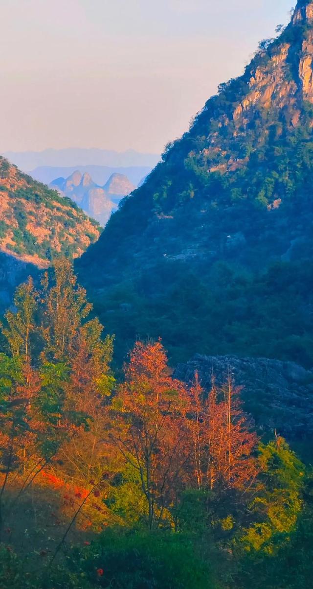 福州周边藏了个「秋日火焰山」！这5个红叶秘境，美成调色盘