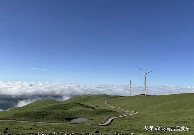 牧云者招募：宕昌草原，你的旷野乌托邦