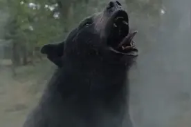 美国毒贩坠机身亡，携带31公斤“白粉”被棕熊吃光，结果熊悲剧了图片