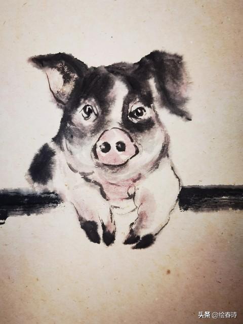 属猪人2026年运势：越瞎忙越穷，会“偷懒”才旺！