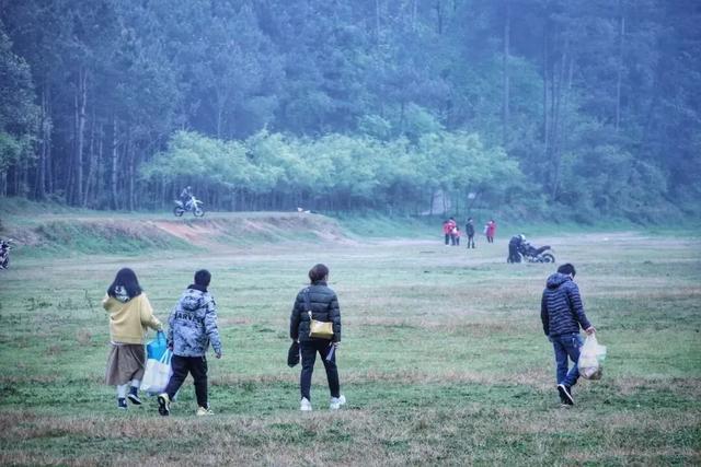 乡游黔中 · 白云区 石龙村丨坠入金色银杏海,收藏静美秋日