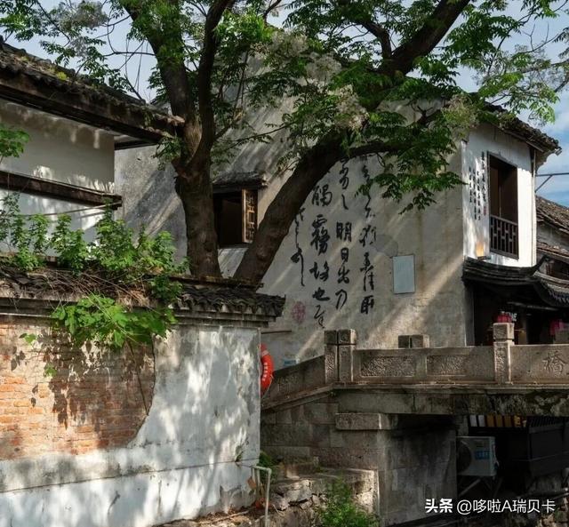 退休后一定要在这6座城市旅居，消费不高生活安逸，来了就不想走
