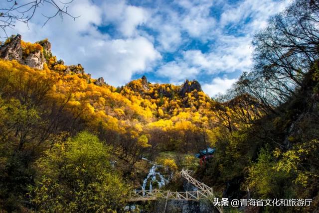 双节假期寻秋记：互助北龙山——藏在互助的“调色盘”，每一步都是诗意